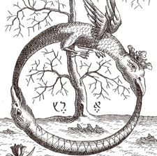 19560_VADB-7 schlange drache ring quadr.jpg